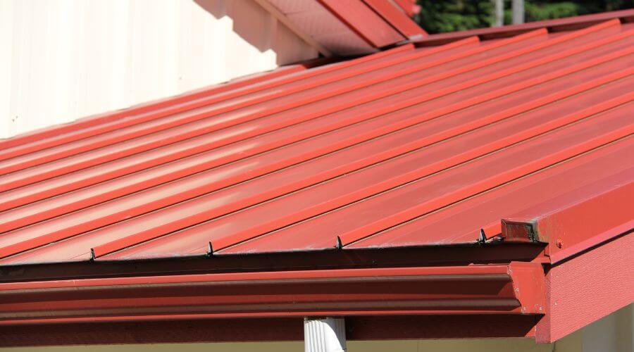Professional gutter cleaning services in Cornell, IL